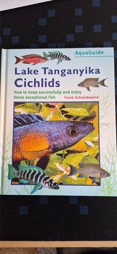 Lake tanganyika cichlids - tanganyika,