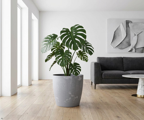 Round plant pot concrete - round,