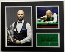 Professional Snooker Player