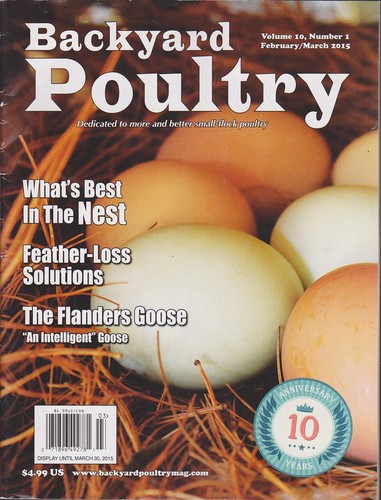 Backyard poultry magazine - backyard,