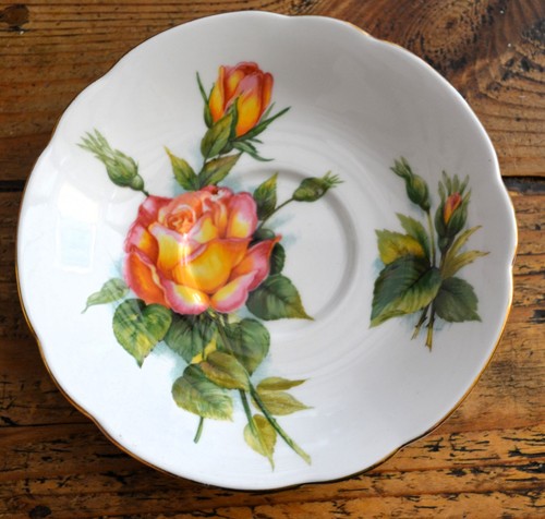 Paragon harry wheatcroft - harry,