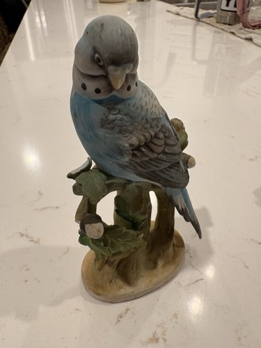 Parakeet budgerigar porcelain - budgerigar,