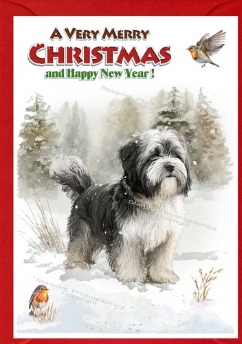 Tibetan terrier dog christmas - terrier,