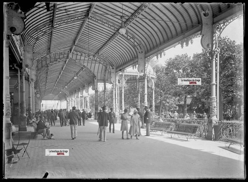 Glass plate old photo - old, negative