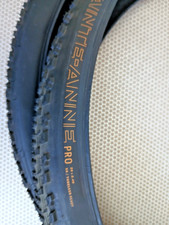 PAIR of Bontrager Sainte-Anne