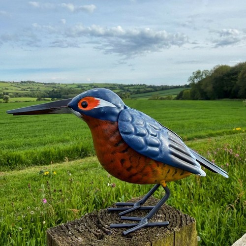Small kingfisher garden - small,