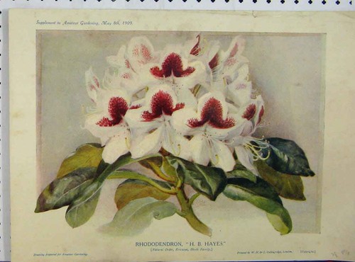 Original old antique - old,