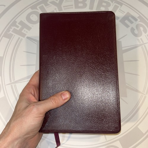 Holy bible new living - holy,