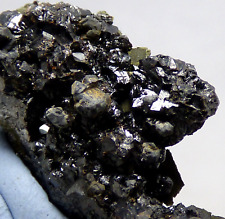 Galena Sphalerite Marcasite Fucheslas Sett Parc Mine N Wales UK Mineral Specimen