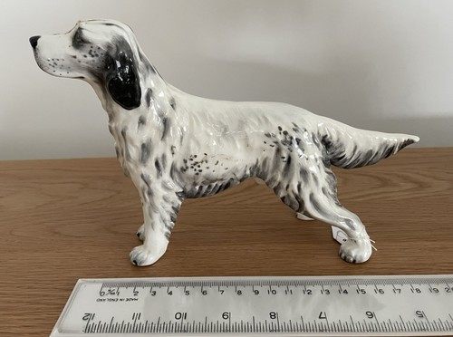 Alton english setter - alton,