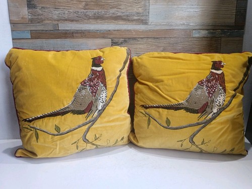Paoletti hunter velvet - paoletti,