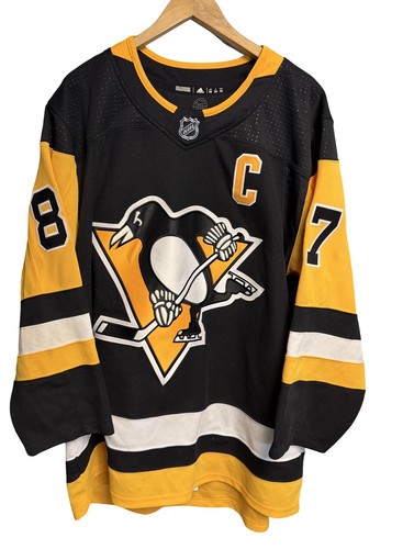 Pittsburgh penguins sidney - pittsburgh,