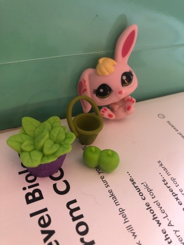 Littlest pet shop - bundle, bunny