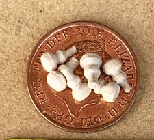 Dolls House Door Knobs (6)