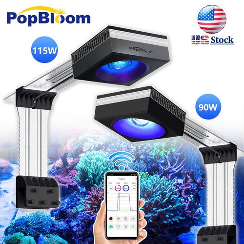 Popbloom rl90 rl115 led reef - led,