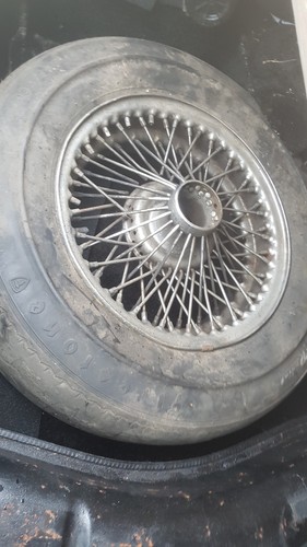 Triumph stag wire wheel - stag, 1x