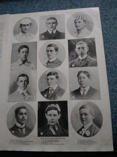 Public school cricket 1901 - public,