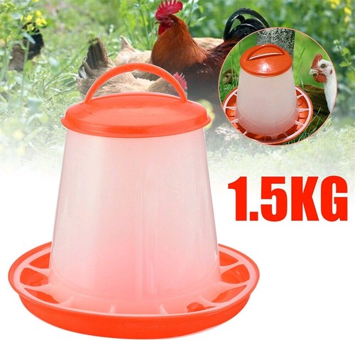 5kg plastic feeder - plastic,
