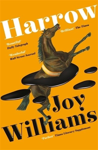 Harrow williams joy - williams,,