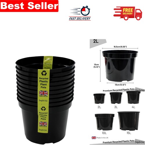 Pack eco friendly 2l - of,