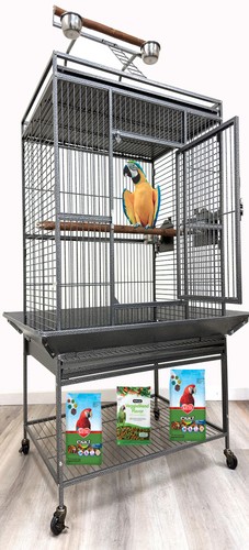 Large x22 x66 parrot - large, bird