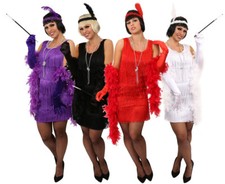 1920'S DELUXE FLAPPER DRESS FANCY DRESS COSTUME LADIES CHARLESTON GATSBY TASSEL