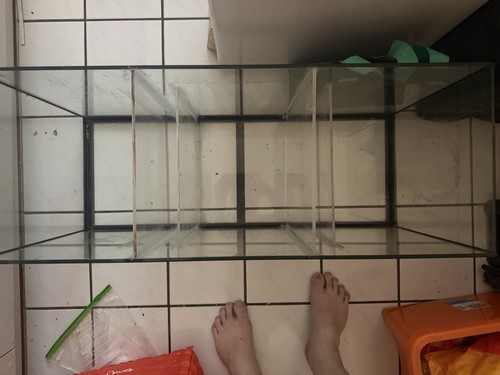 Aquarium marine sump - used, fish