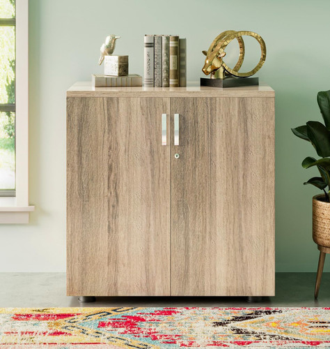 Dudley small office cupboard - small,