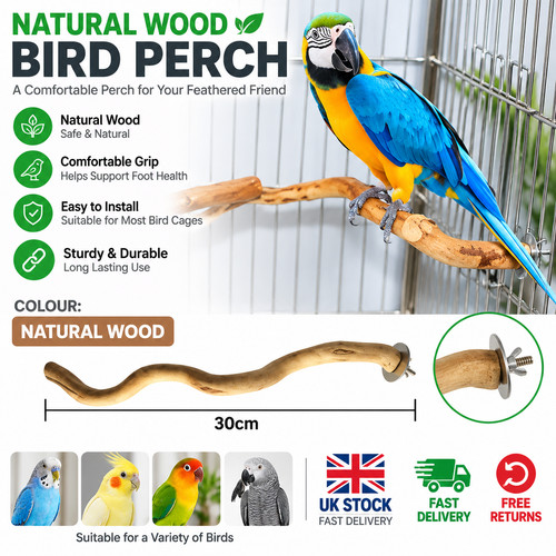 Natural wood parrot perch - perch, bird