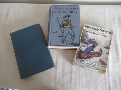 Boy scouts old books - scouts,