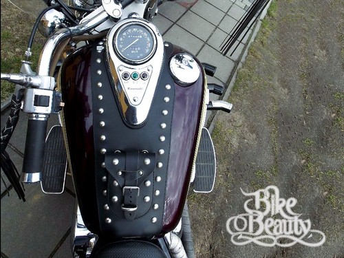 Kawasaki vulcan 800 500 - kawasaki, en