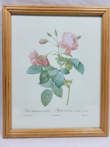 Botanical print framed j - print,