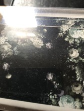 Dorma BURFORD Mural Wallpaper