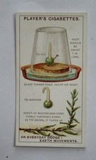 1923 Players Struggle for Existence No. 23 earth movement, pea & daisy