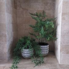 BRAND NEW Ivyline Treviso