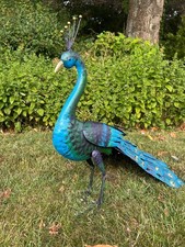 Tail Down Decorative Peacock