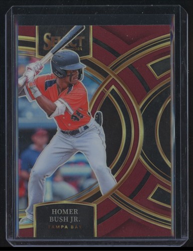 2024 panini select - panini, homer