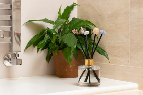 Sea shells diffuser - shells,