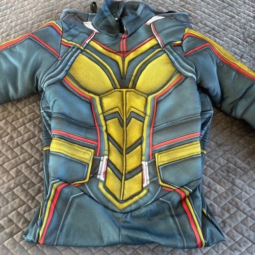 Marvel ant man and - the, wasp
