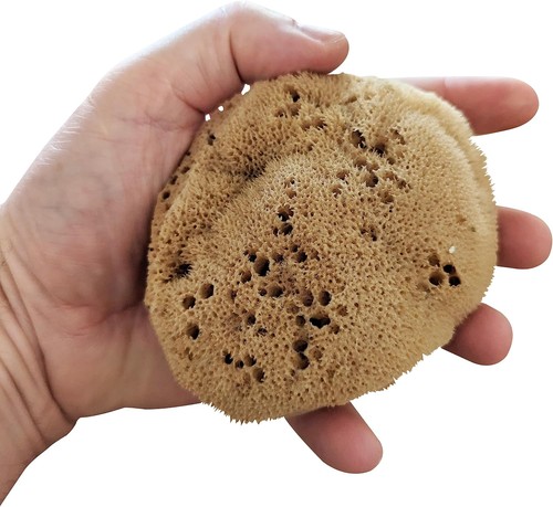 Natural sea sponge silk - natural,