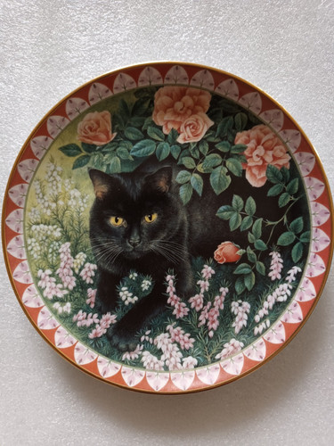 Lesley anne ivory - lesley, cats