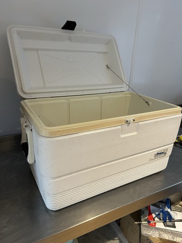 Igloo cool box - cool,