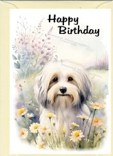 Havanese Dog Birthday Card