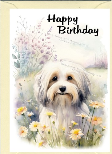 Havanese dog birthday card - havanese,