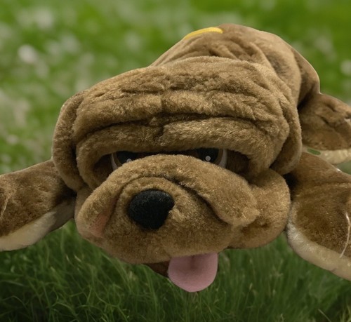 Shar pei puppy dog - dog, plush