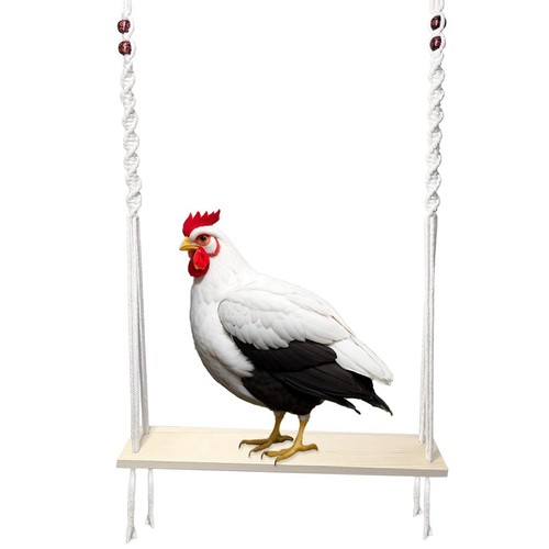 Chicken swing toy for - swing,