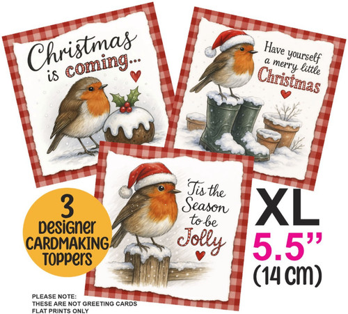 Christmas robins card - christmas, xl