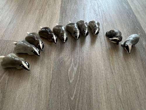 Large badger collection 8 - large,