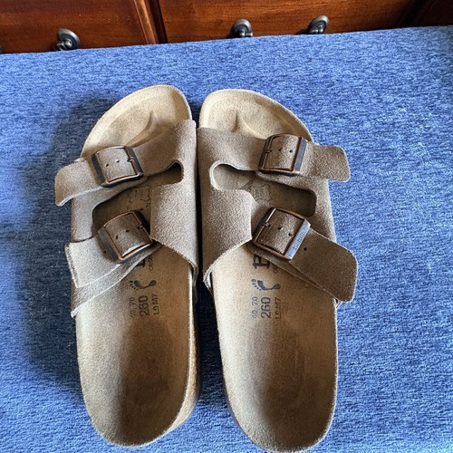 Betula birkenstock arizona - by,