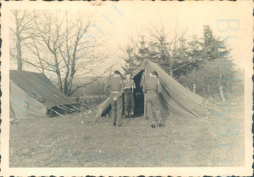 1950s british army rhine - rhine, royal